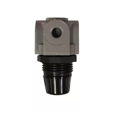 1/4" NPT Mini Heavy Duty Regulator