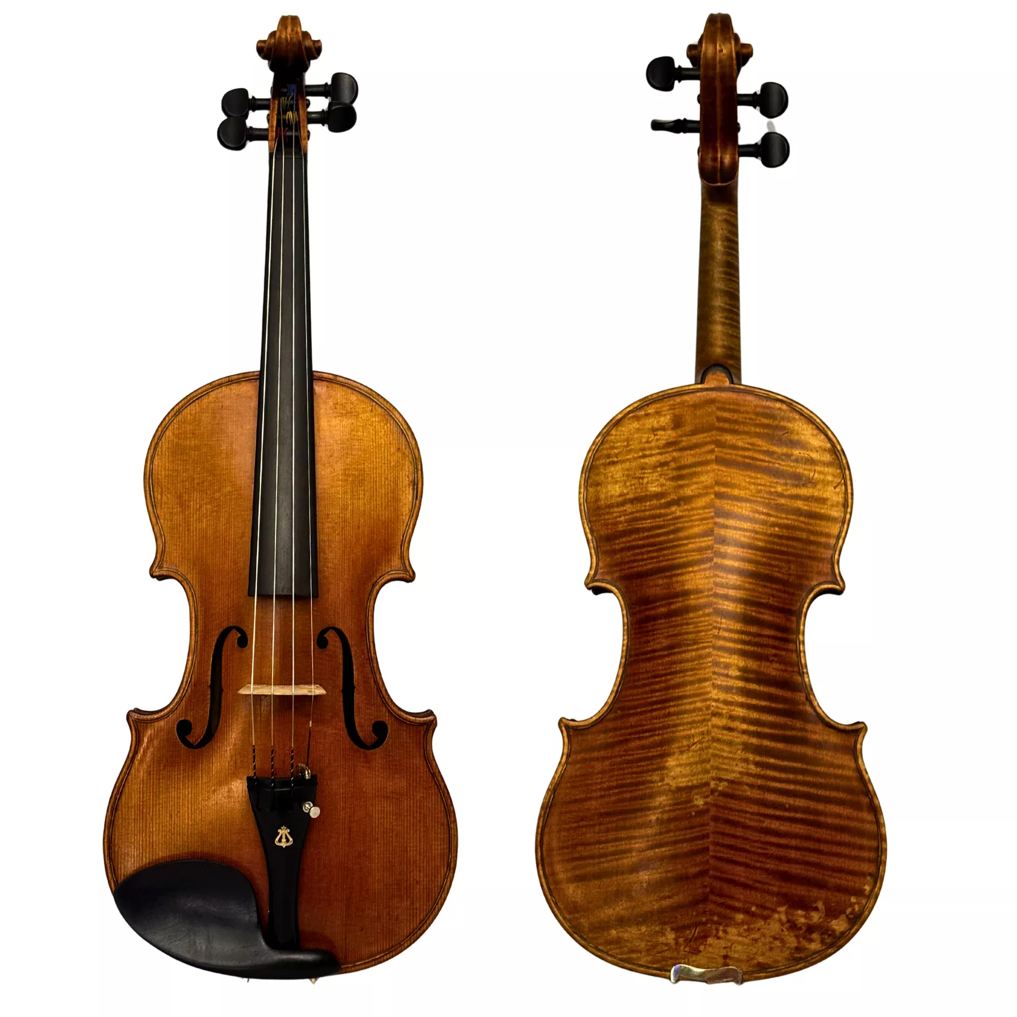 1924 Enrico Robella Violin