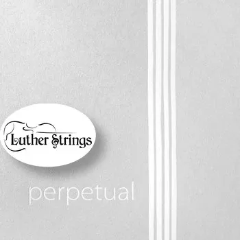 Pirastro - Perpetual | Violin